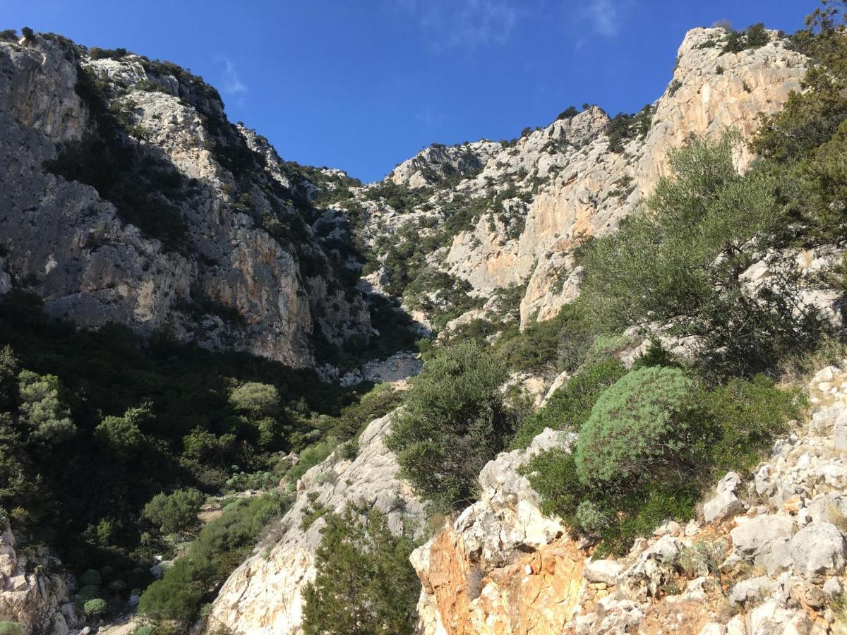 Cav Mameli Aparthotel Dorgali Bagian luar foto